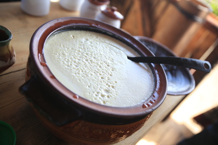 Yogurt bulgarian in a bowl, closeup shotの写真素材