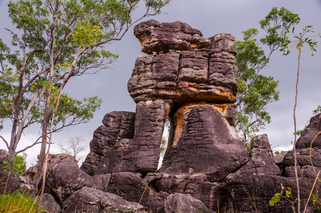 Lost City rock formations in Litchfield National Parkの写真素材