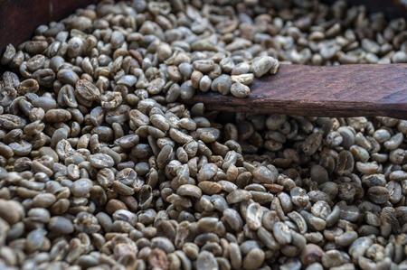 Green unroasted coffee beans in bowl with wooden spoonの写真素材