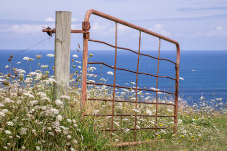 Rusty open gate in green meadow with flowers