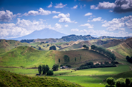 View on Ngauruhoe Volcano with beautiful green hills, near Tongariro National Park, North Island,...