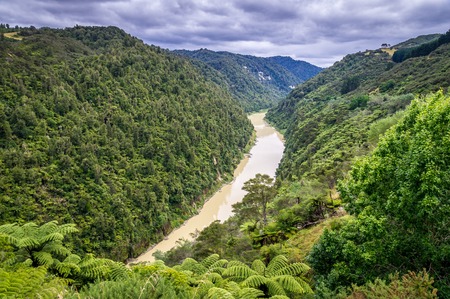Landscape at the forgotten highway, North Island, New Zealandの写真素材