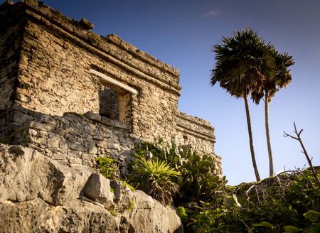 Maya ruins in Tulum, Mexico: The ruins of Tulum in Yucatan are set amidst palm trees and located on the coast of the Caribbean.の写真素材