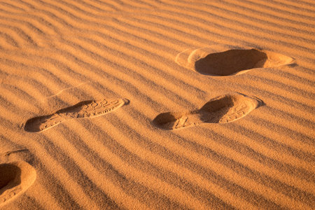 Footprints in the sand at the sahara desert, Merzouga, Morocco