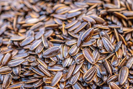 Heaps of organic, sweet and nutty sunflower seeds in shell