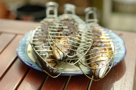 grilled fishの写真素材