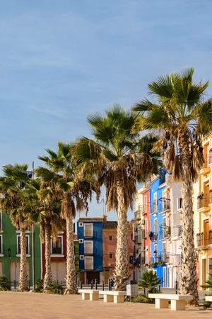 Palm trees and multicolored houses during a sunny day with blue sky in Villajoyosa at the Costa Blanca, Spainの写真素材