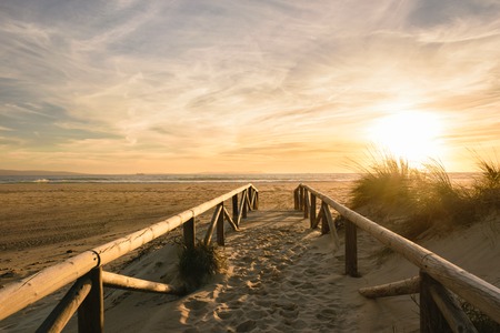 A path on sand at sunset going to the sea. The wather is beautiful with an awesome sunset with golden light and little clouds in the sky.の写真素材