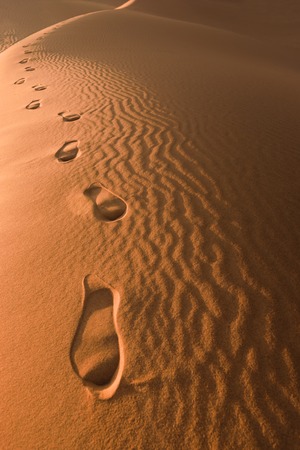 Footprints in the sand, Moroccoの写真素材