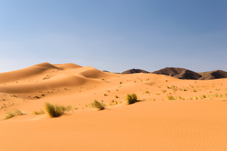 Sand dunes Ouzina, Shara desert, Moroccoの写真素材
