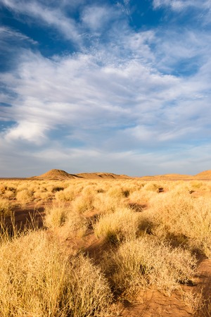 Landscape near Zagora, Moroccoの写真素材