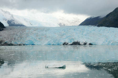 iceberg of Amalia Glacierの写真素材