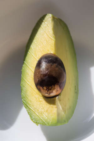the avocado on the white plateの写真素材