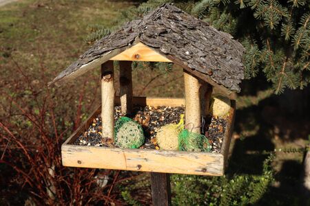 Feeder for birds in the garden built of wood. Sunflower, tallow and other food for birds in winter. Sunny weather.の写真素材