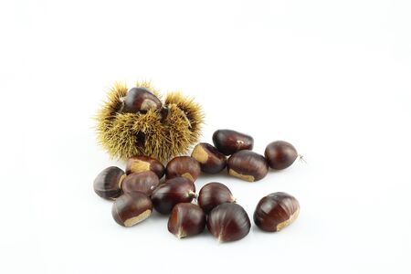 A handful of edible chestnuts separated on a white background. Isolated white background and autumn forest edible brown chestnuts. Chestnut in coat.の写真素材