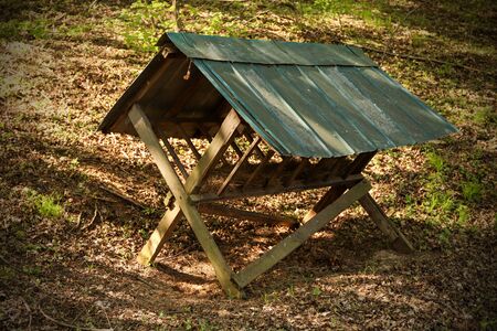 Wooden feeder for wild animals and sheep in the forest in the mountains of the Little Carpathians in spring sunny day.の写真素材