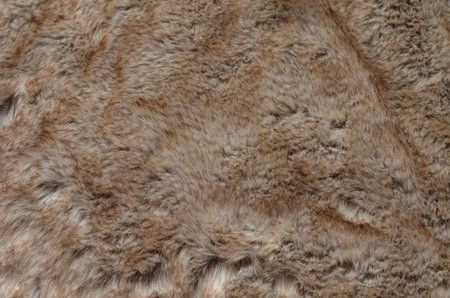 Fluffy fur background
