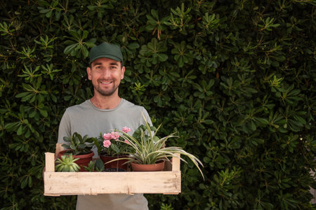 Man gardener in green cap holds wooden box with houseplants in front of living evergreen fence Phillyrea latifolia. Delivery of seedlings from plant nursery. Small business, hobby, gardening. Mock upの写真素材
