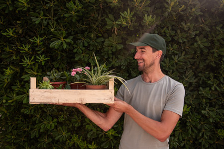 Man gardener in green cap holds wooden box with houseplants in front of living evergreen fence Phillyrea latifolia. Delivery of seedlings from plant nursery. Small business, hobby, gardening. Mock upの写真素材