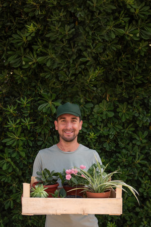 Man gardener in green cap holds wooden box with houseplants in front of living evergreen fence Phillyrea latifolia. Delivery of seedlings from plant nursery. Small business, hobby, gardening. Mock upの写真素材