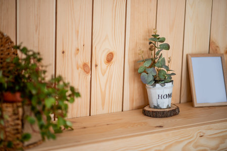 On wooden shelf stands Eucalyptus in a hand made pot with white scuffs. Rustic, Scandinavian style in the interior of the apartment. Botanical design. Copy space. Eco, natural home decoration. Mock upの写真素材