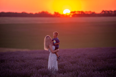 Millenial young mother holds little son in arms at sunset in purple lavender field. Walks in the countryside. Trust, protection of the child. Happy childhood. Allergy concept, single parent. Natureの写真素材