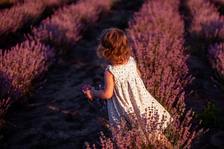 Defocused blurred little girl in flower dress stands with back in field of purple lavender among the rows at sunset. Faceless toddler child have fun on walk in countryside. Allergy concept. Copy spaceの写真素材