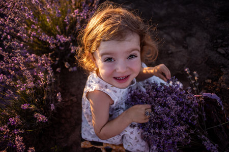 Top view portrait of little girl in flower dress, sitting in field among the rows, collecting bouquet of purple lavender in wicker basket at sunset. Walk in the countryside. Allergy concept. Natureの写真素材