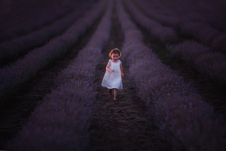 Little girl in flower dress runs barefoot across field of purple lavender among the rows at sunset. Toddler child have fun on walk in the countryside. Allergy concept. Natural products, perfumery.の写真素材