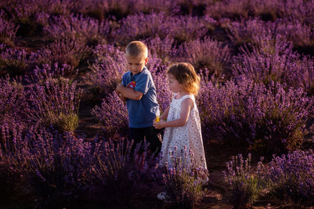 Playful little cute couple boy girl walk on purple lavender flower meadow field background, have fun, enjoy good sunny day. Excited small kids. Family day, children, childhood lifestyle conceptの写真素材
