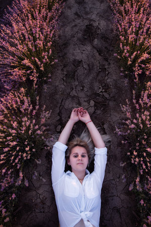 Young blonde woman lies on the ground between rows of purple field at sunset. Childfree romantic girl in white shirt holds bouquet in hands. Travel in the countryside. Concept of allergy, freedomの写真素材
