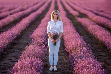 Young woman in white shirt, blue jeans stays in rows of purple lavender in field. Millennial girl holding bouquet of flowers in hands at sunset. Allergy concept. Production natural perfumery.の写真素材