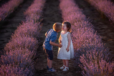 Close-up portrait of little girl kissing boy on the cheek in the rows of purple lavender field. Loving cute couple of children have fun in nature. Family day, carefree, cheerful childhood. Copy spaceの写真素材