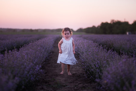 Little girl in flower dress runs barefoot across field of purple lavender among the rows at sunset. Toddler child have fun on walk in the countryside. Allergy concept. Natural products, perfumery.の写真素材