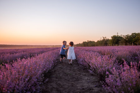 Playful cute boy girl are playing in rows of lavender purple field at sunset. Small couple runs after each other, catches up, holding hands. Cheerful, happy childhood. Travel in countryside. Allergyの写真素材