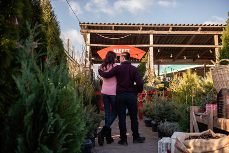 Couple in love stands with backs, chooses Christmas tree in open air market. Young man and beautiful woman look at each other, holding tub with live Christmas tree in hands. An eco-friendly choiceの写真素材