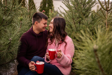 Couple in love in knitted sweaters sits among green pines, fir trees, Christmas tree market. Young man and woman drinking hot cocoa from red mugs with marshmallows, candy cane. Holiday atmosphere, funの写真素材