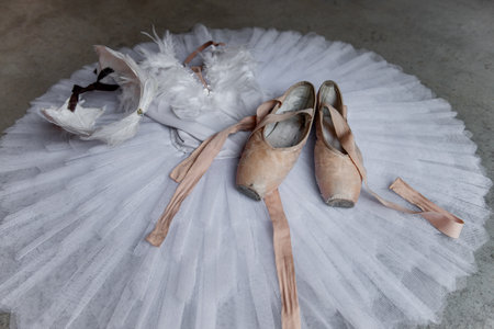 Top view of complete ballet ensemble, with tutu, feathered bodice, and pointe shoes, arranged on stark concrete surface, evoking sense of poised elegance.の写真素材