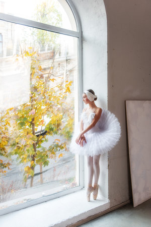 Poised young ballerina in classic tutu White Swan poses by panoramic window with sunlit autumnal cityscape backdrop, conveying grace, tranquility amidst urban setting. Girl stands on toes in pointeの写真素材