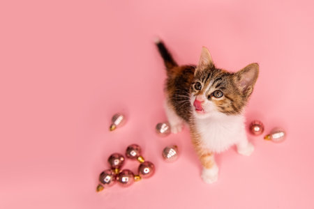 Adorable tabby kitten with tongue out, surrounded by pink Christmas ornaments on a pastel pink background. Festive and playful holiday scene.の写真素材