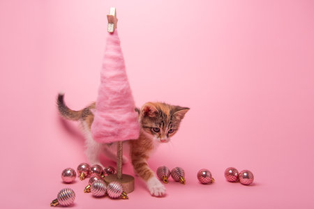 Playful kitten sitting beside cotton candy like pink Christmas tree and sparkling ornaments on a pastel pink background. Postcard for festive and cute themes.の写真素材