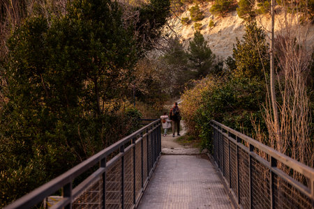 Father and daughter walk along a scenic nature trail, crossing a metal bridge surrounded by lush greenery and warm sunlight, enjoying an outdoor adventure together.の写真素材
