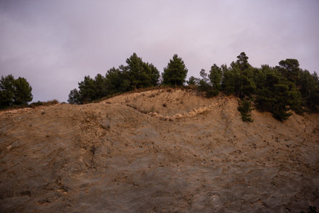 A rugged hillside with sparse vegetation and tall green pine trees under a soft, pastel-hued sky at...