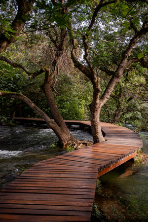 Scenic wooden walkway winding over a tranquil stream, enveloped by lush trees in Krka national park, Croatia, offers a peaceful retreat for nature loversの写真素材