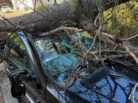 Fallen tree crushing a damaged vehicle, illustrating hurricane destruction in Croatia and emphasizing the urgent need for disaster preparedness and responseの写真素材