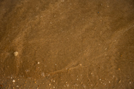 Wet sand texture featuring small stones and shells forms a captivating natural and abstract pattern, perfect for creating backgrounds and enhancing nature-themed designsの写真素材