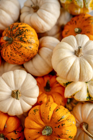 Small decorative pumpkins and gourds in various colors and shapes filling the frame, creating a...