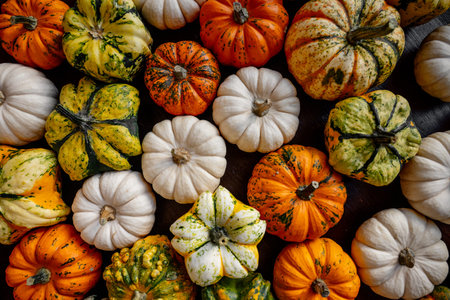 Assortment of colorful mini pumpkins and gourds creating a vibrant background, representing autumn...