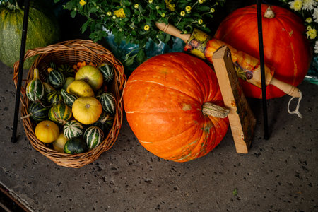 Seasonal still life showcasing a wicker basket brimming with vibrant small gourds, positioned alongside large orange pumpkins and blooming chrysanthemums, capturing the essence of autumnの写真素材