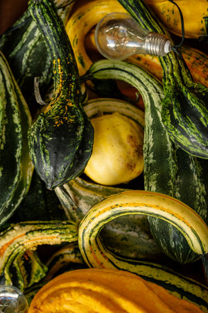 Autumn gourds and squash in varied shapes and vibrant oranges, yellows and greens, warmed by glowing string lights for a rustic, festive harvest centerpiece and seasonal displayの写真素材